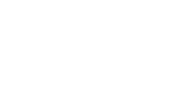 Mark Wertz logo